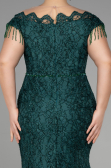 Emerald Green Long Laced Plus Size Evening Dress ABU3435