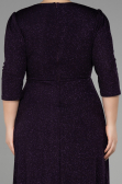 Long Dark Purple Plus Size Evening Dress ABU3504