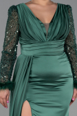 Long Emerald Green Plus Size Evening Dress ABU3237