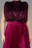 Plum Long Plus Size Evening Dress ABU3341