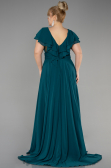 Dark Green Long Plus Size Evening Dress ABU032