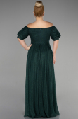 Long Emerald Green Plus Size Evening Dress ABU3615