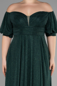 Long Emerald Green Plus Size Evening Dress ABU3615
