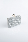 Silver Night Bag SH830