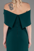 Long Emerald Green Evening Dress ABU3775