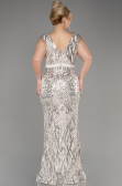 Long Mink Plus Size Engagement Dress ABU3876