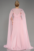 Powder Color Long Chiffon Sleeve Plus Size Evening Dress ABU3913