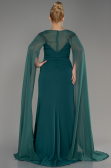 Emerald Green Long Chiffon Sleeve Plus Size Evening Dress ABU3913