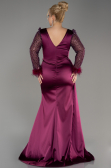 Cherry Colored Long Plus Size Evening Dress ABU3237