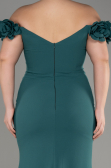 Emerald Green Long Plus Size Prom Dress ABU3946