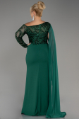 Emerald Green Long Dantelle Plus Size Evening Dress ABU3512