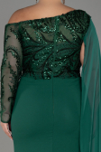 Emerald Green Long Dantelle Plus Size Evening Dress ABU3512