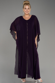 Dark Purple Chiffon Plus Size Cocktail Dress ABT112