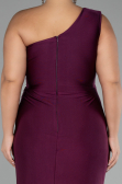Long Cherry Colored Plus Size Engagement Dress ABU4148