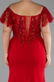 Long Red Dantelle Plus Size Evening Dress ABU2571