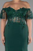 Long Emerald Green Dantelle Plus Size Evening Dress ABU2571