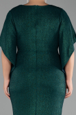 Emerald Green Long Plus Size Evening Dress ABU3280
