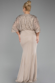 Beige Long Plus Size Engagement Dress ABU3732