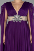Long Purple Plus Size Engagement Dress ABU4259