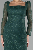 Emerald Green Long Sleeve Sequin Midi Plus Size Evening Dress ABK2138