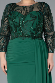 Emerald Green Stoned Capri Sleeve Slit Chiffon Plus Size Evening Gown ABU4294
