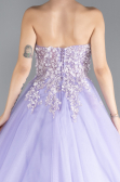 Lila Strapless Dantelle Plus Size Haute Couture Dress ABU4453