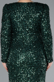Emerald Green Long Scaly Plus Size Engagement Dress ABU4373