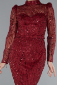 Burgundy Long Sleeve High Collar Stoned Evening Gown ABU4526
