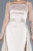 Beige Scaly Long Sleeve Satin Tail Evening Gown ABU4583