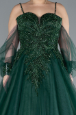 Long Emerald Green Plus Size Engagement Dress ABU3822