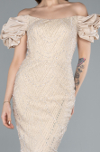 Gold Stone Strapless Sleeve Accessories Long Mermaid Evening Gown ABU4509
