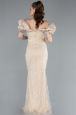 Gold Stone Strapless Sleeve Accessories Long Mermaid Evening Gown ABU4509
