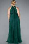 Long Emerald Green Plus Size Evening Dress ABU3253