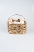 Gold Metal Night Bag SH847