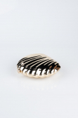 Gold Metal Night Bag SH848