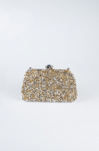Gold Night Bag SH849