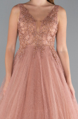 Light Brown Embroidered Bodice Dusty Rose Tulle Evening Gown ABU2131