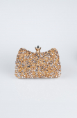 Rose Night Bag SH828