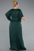 Long Emerald Green Formal Plus Size Dress ABU4914