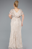 Long Beige Dantelle Plus Size Engagement Dress ABU4948