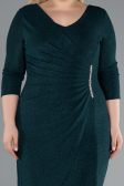 Emerald Green Capri Sleeve Midi Plus Size Evening Dress ABK1950
