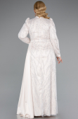 Long Beige Beaded Large Size Dress ABU4942