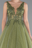 Pistachio Green Embroidered Bodice Dusty Rose Tulle Evening Gown ABU2131