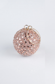Rose Scaly Evening Bag SH803