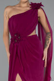 Long Plum Chiffon Evening Dress ABU5144