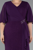 Dark Purple Long Plus Size Evening Dress ABU2651