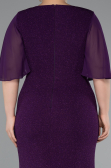 Dark Purple Long Plus Size Evening Dress ABU2651