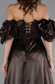 Long Brown Beaded Evening Dress ABU5154