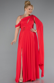 Long Pomegranate Flower Chiffon Formal Plus Size Dress ABU5194