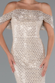 Long Beige Beaded Evening Dress ABU5239